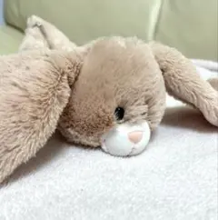 ニキ NICI タレミミウサギ　ペンケース　ぬいぐるみ