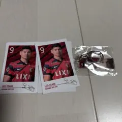 レオセアラ グッズまとめ売り