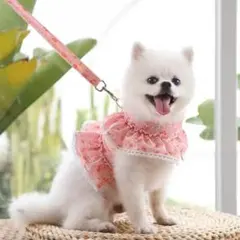 Item thumbnail for item ab779db5-5132-4fcc-a802-6f717babded0