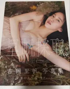 吉岡里帆 写真集 里帆採取 清川あさみプロデュース
