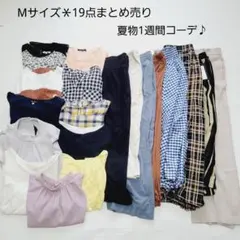 No.15＊夏服Mサイズ19点まとめ売り＊ロートレアモン、プラステ他