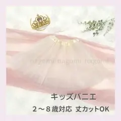 Item thumbnail for item 9a8f8711-9710-4b4b-823d-e03e0e193c1e