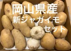岡山県産　新ジャガイモ　メークイン　キタアカリ　生ニンニク　1.5キロのサムネイル