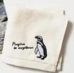 WWF ペンギン 刺繍 タオルハンカチ