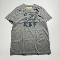 Abercrombie&fitch ウィングフット 半袖 Tシャツ アメカジのサムネイル