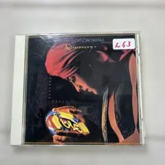 ディスカバリー