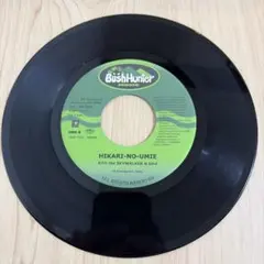 未使用 Ragga Jet / Ryo The Skywalker / 12