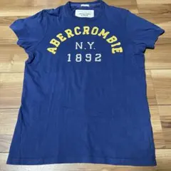 Abercrombie & Fitch ネイビー Tシャツ M