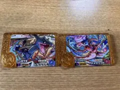 ポケモンフレンダ　レガシーピック2枚セット