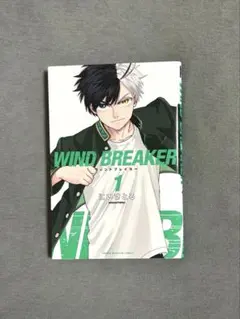 WIND BREAKER ウィンドブレイカー 25巻とイラストカードセット - メルカリ