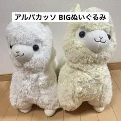 アルパカッソ ぬいぐるみ ビッグ BIGぬいぐるみ アルパカ 可愛い