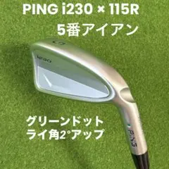2026年最新】ping i230 115の人気アイテム - メルカリ