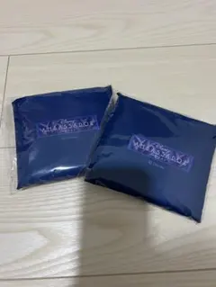 Disney AMBASSADOR HOTEL エコバッグ 2個セットのサムネイル