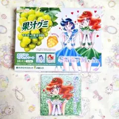 美少女戦士セーラームーン 果汁グミ マグネット