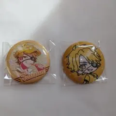 カラフルピーチ　たっつん　ダイナーズ　缶バッチ　刺繍