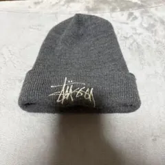 2025年最新】stussy 菅田将暉の人気アイテム - メルカリ