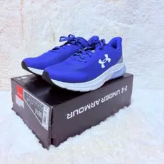 Item thumbnail for item 61028530-4abf-4673-a3a8-c2633052134c