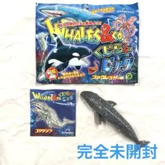 2025年最新】くじら&coビッグ コンプリートの人気アイテム