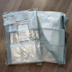 ２個　スリーコインズ　クリアボックスバッグ　LL　クリア収納シリーズ