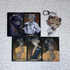 サバナクロー寮 セット売り 【ディズニー ツイステッドワンダーランド】