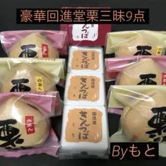豪華!![岩谷堂羊羹の回進堂]c栗もなか6個✖︎栗きんつば3個 和菓子のサムネイル