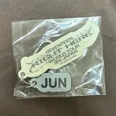 seventeen right here ジュン カプセルトイ キーホルダー