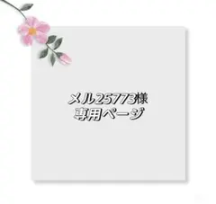メル25773様専用ページ