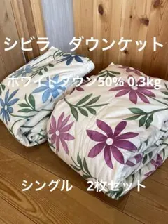 新品　丸洗可【シビラ】羽毛肌掛布団 ダウンケット（シングル）カンポ　ワインブルーのサムネイル