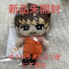 向井康二 すのチル ぶら下がりシリーズ ぬいぐるみver