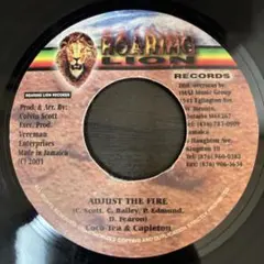 Cocoa Tea & Capleton - Adjust The Fire