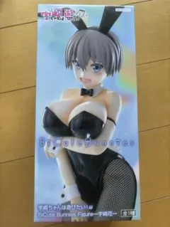 宇崎ちゃんは遊びたい！ω BiCute Bunnies 宇崎花