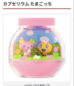 ぽ*️様 カプセリウム たまごっち