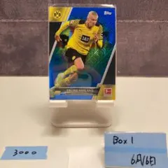 topps ハーランド　2枚セット Yahoo!オークション -「ハーランド サイン」(シングルカード
