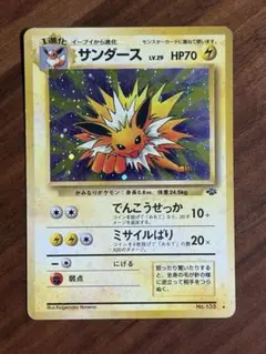 2026年最新】ポケモンジャングル サンダースの人気アイテム - メルカリ