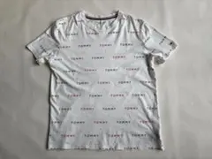 TOMMY HILFIGER メンズTシャツ (Mサイズ)のサムネイル