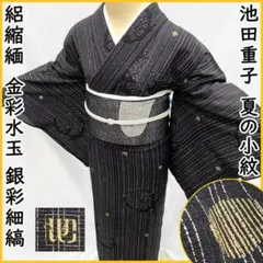 ○604mt48○南雲織物 本場夏塩沢 細波文様 絣 証紙付き 透け感バツグン 