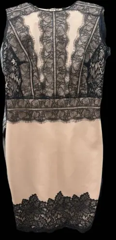 TADASHI SHOJI ワンピース ドレス ノースリーブ レース 新品未使用のサムネイル