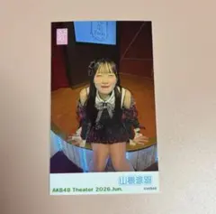 山根涼羽 AKB48 チェキ ガラポン
