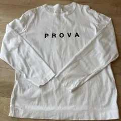 GLOBALWORK EXTRA FINE COTTON 長袖　Ｌサイズ