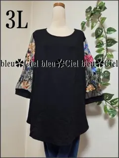 Item thumbnail for item e9b487de-200e-478b-a35c-b1e95c44888f