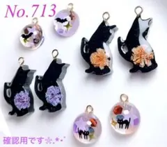 確認用となりますNo.713◆チャーム♪レジンパーツ♪ハロウィン♪クロネコ♪