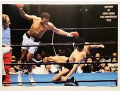 ボクシング チャンピオン パーネル・ウィテカー 直筆サイン入りフォト