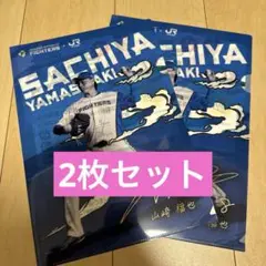 日本ハムファイターズ JR北海道　山﨑福也コラボ クリアファイル　2枚　非売品