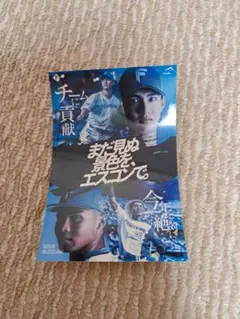 ファイターズ 水谷瞬 達孝太 まだ見ぬ景色を、エスコンで。 限定ステッカー