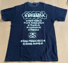 Stussy ステューシー ワールドワイドツアーtee HAZEデザイン