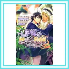 【送料無料・美品】砂嵐の燃ゆる抱擁