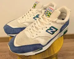 Item thumbnail for item 0929d72a-b92c-45d5-8d83-c4c527b69c69