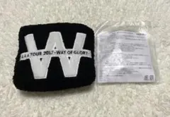 AAA リフォームカイロ ポーチ way of glory トリプルエー