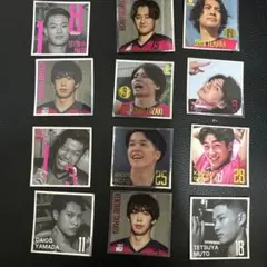 バレーボール選手ステッカーセット12枚