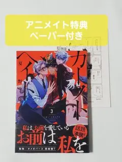 絶版　初版　カーストヘイト　3巻　夏野ゆぞ　アニメイト特典ペーパー付き